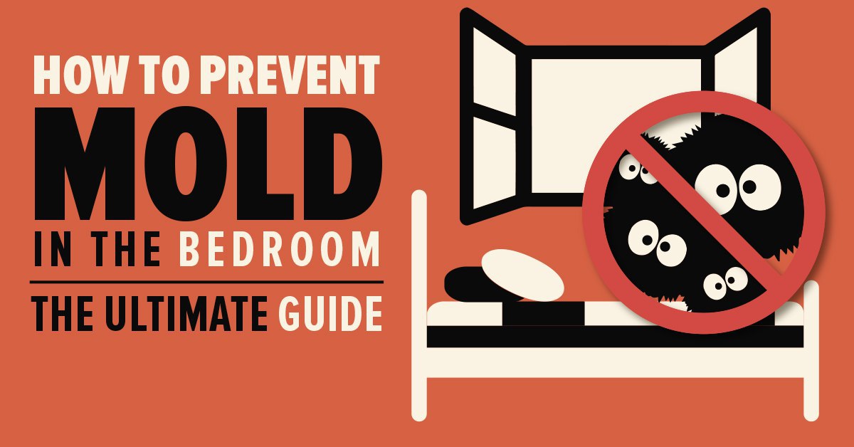 how to prevent mold in the bedroom - the ultimate guide