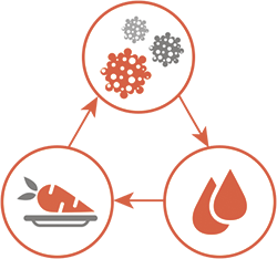 source-of-mold-bustmold