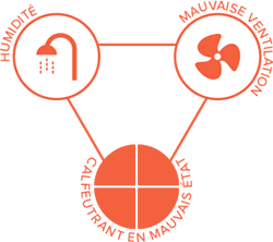 comment apparait la moisissure dans une salle de bain