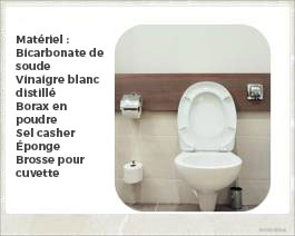 Des moyens naturels pour nettoyer votre toilette - Busters Mold