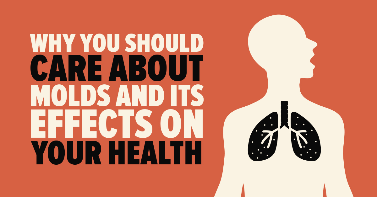Why You Should Care about Molds and its Effects on Your Health