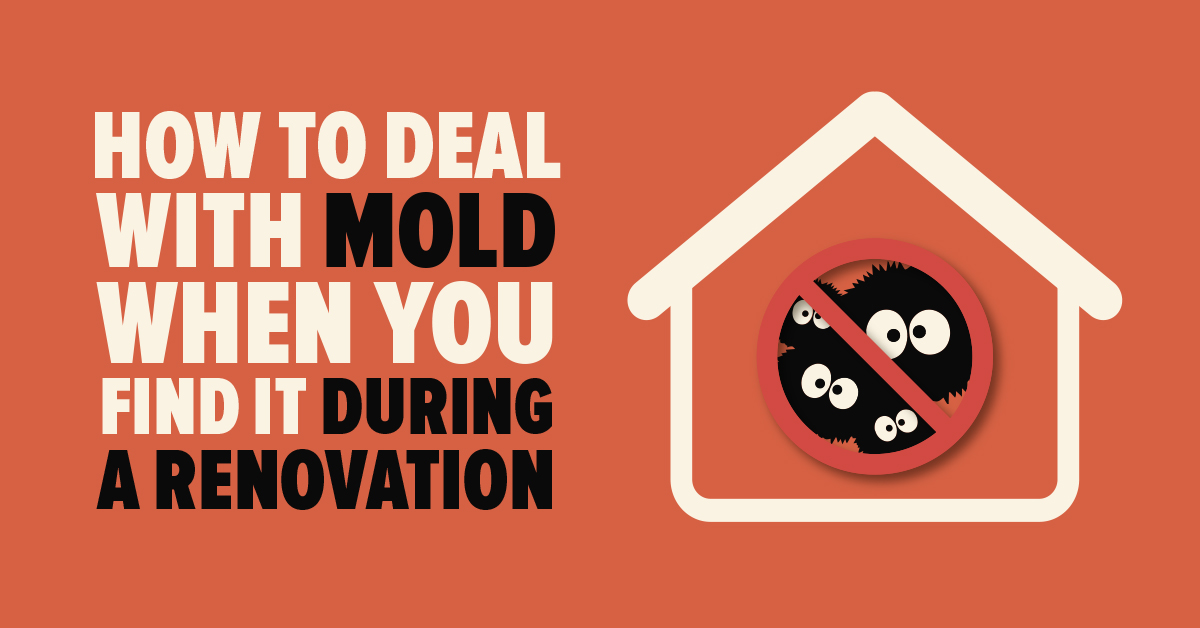 How to Deal With Mold When You Find it During a Renovation