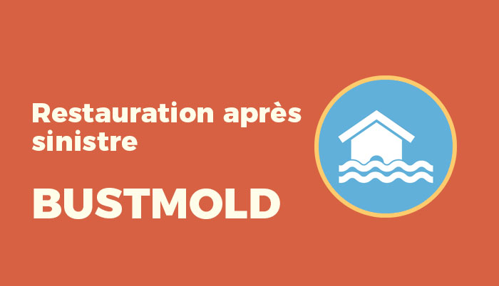 Restauration après sinistre