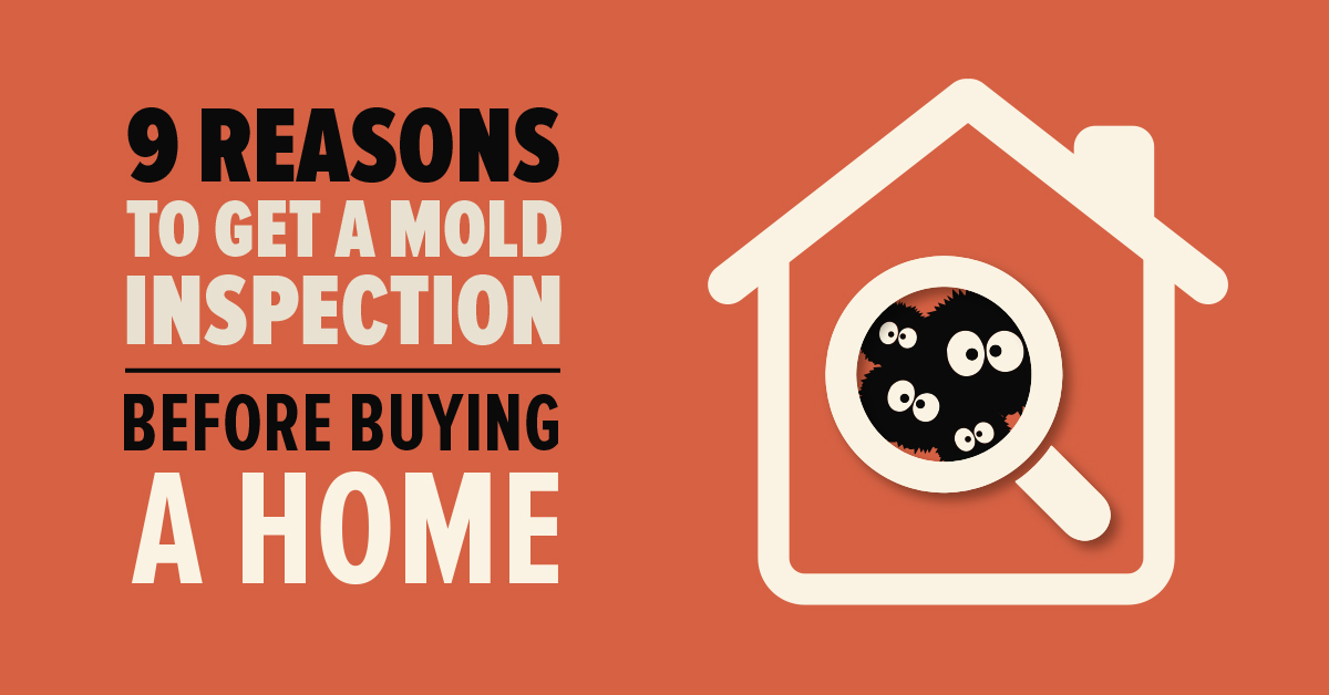 9 Reasons to Get a Mold Inspection Before Buying a Home