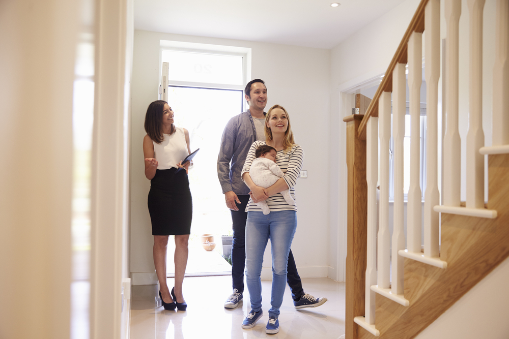 Mold Inspection Before Buying a Home