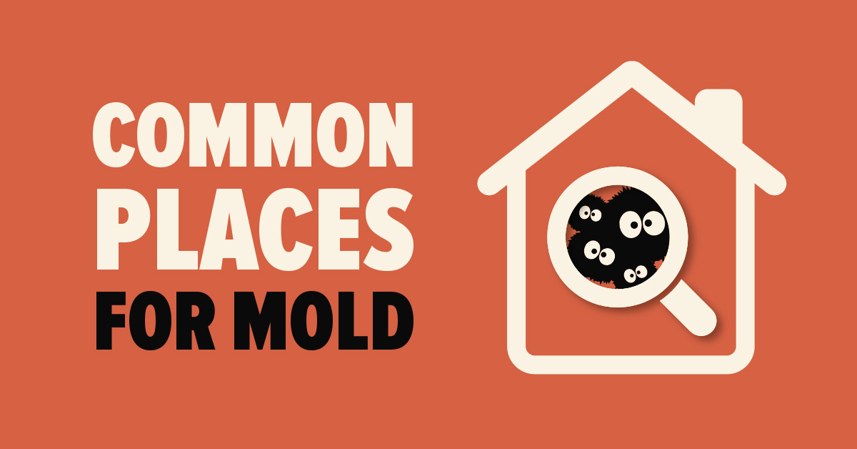 Common Places for Mold