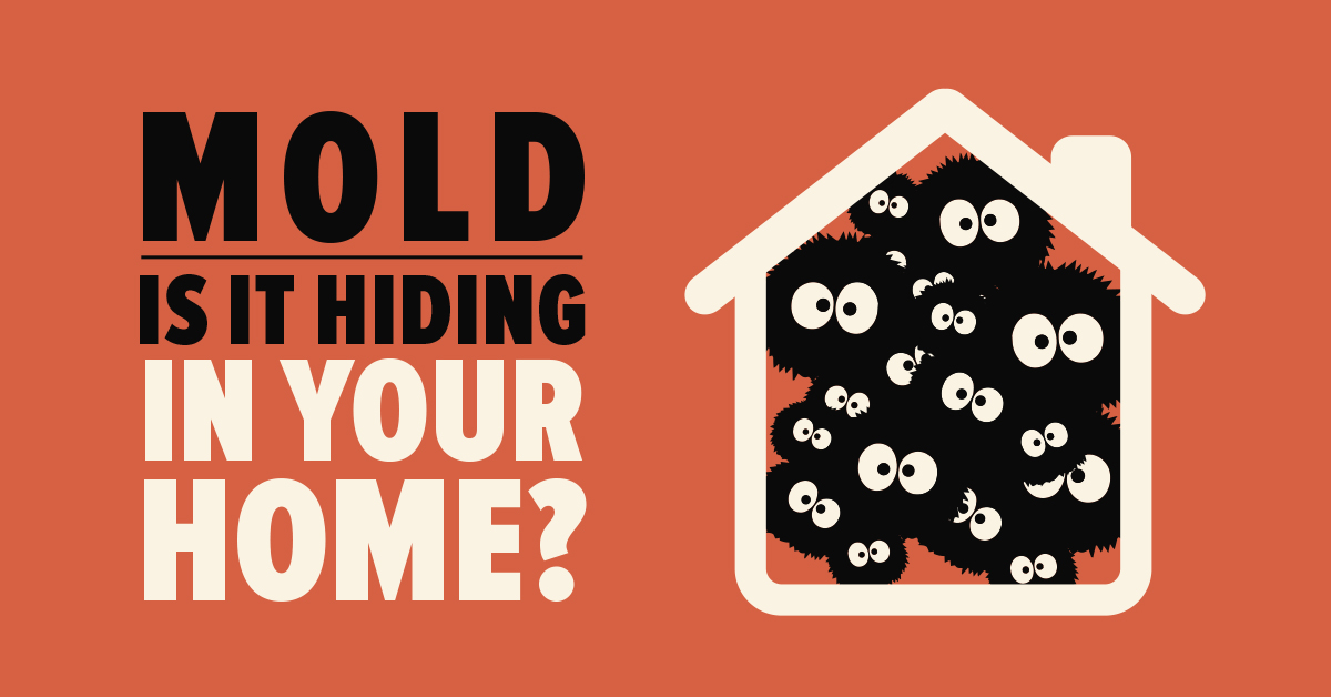 Mold: Is It Hiding in Your Home?