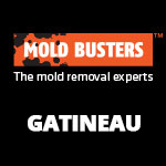 Mold Busters Gatineau