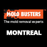 Mold Busters Montreal