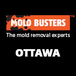 Mold Busters Ottawa