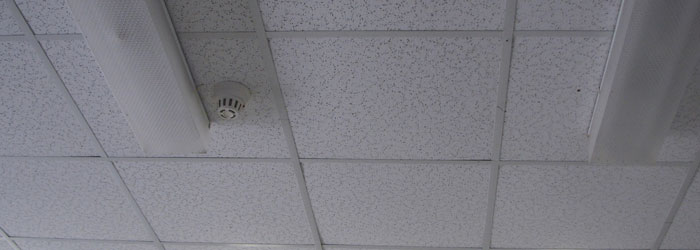 Acoustic Ceiling Tiles with Asbestos