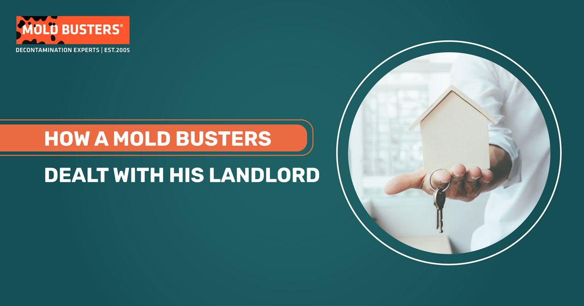 how a mold busters dealt with his landlord