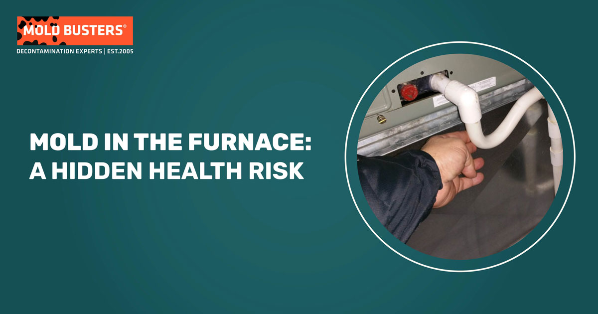 Mold in the Furnace: A Hidden Health Risk