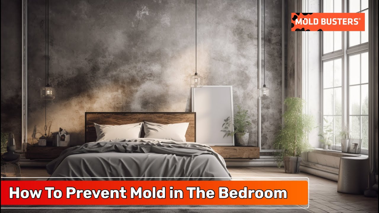 How to Prevent Mold in Bedroom: Effective Strategies