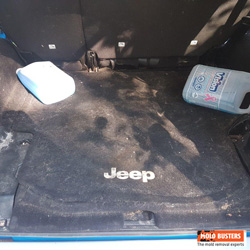 mold in car 05