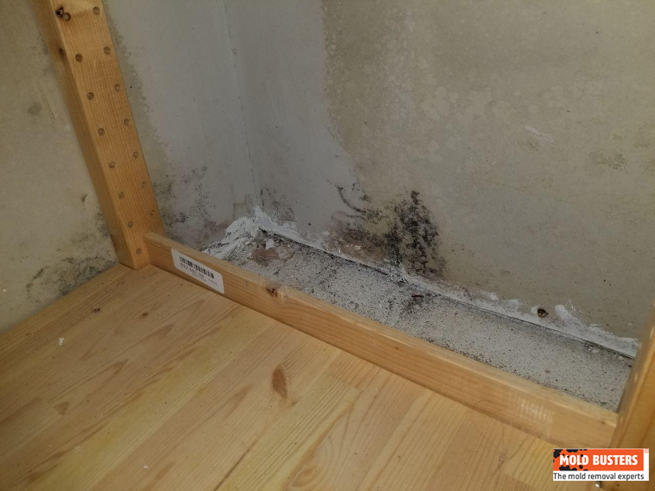 What Is Black Mold Pictures And Symptoms Of Black Mold