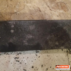 black mold under tiles