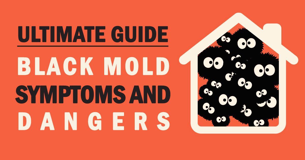 What Is Black Mold Pictures Symptoms Of Black Mold