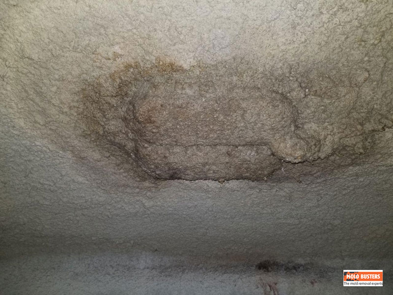 How To Remove Mold From Popcorn Ceiling Mycoffeepot Org