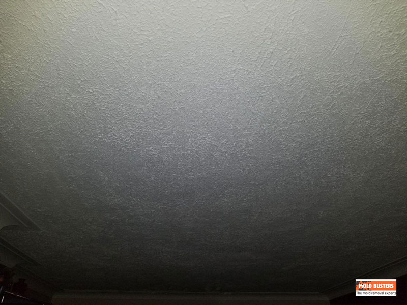 Asbestos In Popcorn Ceilings How To Test For Asbestos