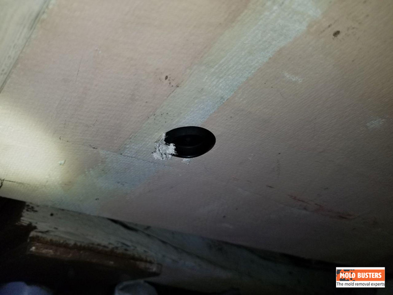 Duct cleaning plugs