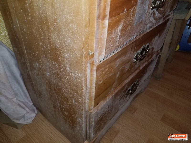 Hidden Mold Desk - After Inspection