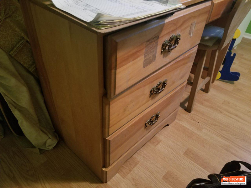 Hidden Mold Desk Before