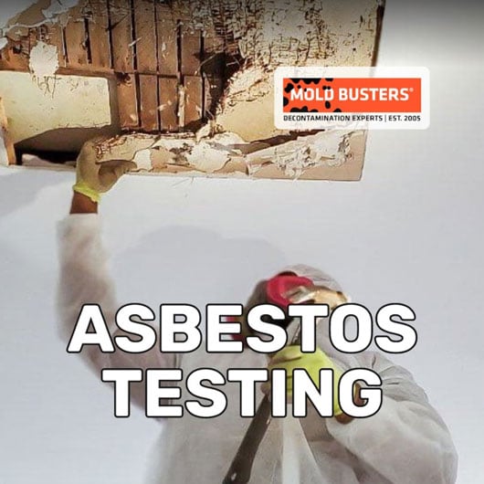 asbestos testing