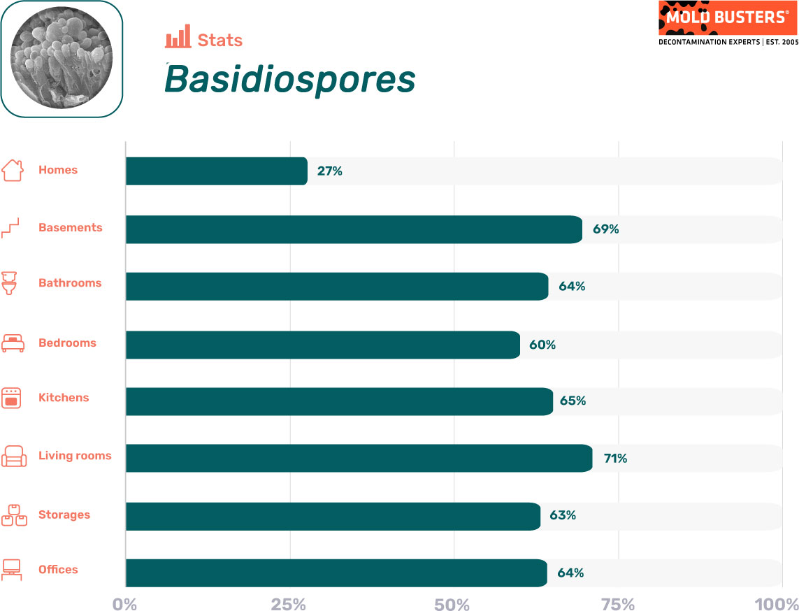Basidiospores statistics