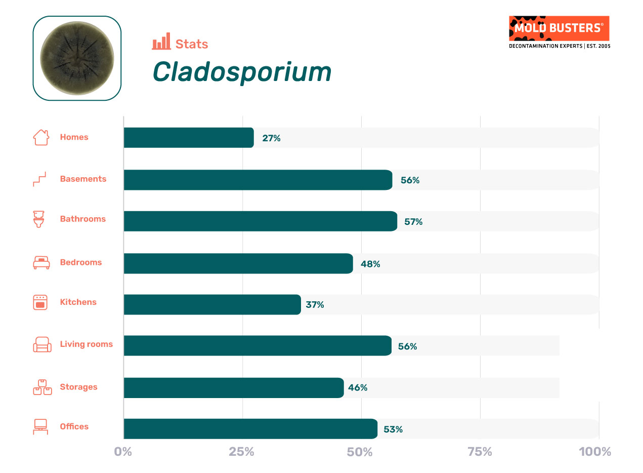 Cladosporium statistics