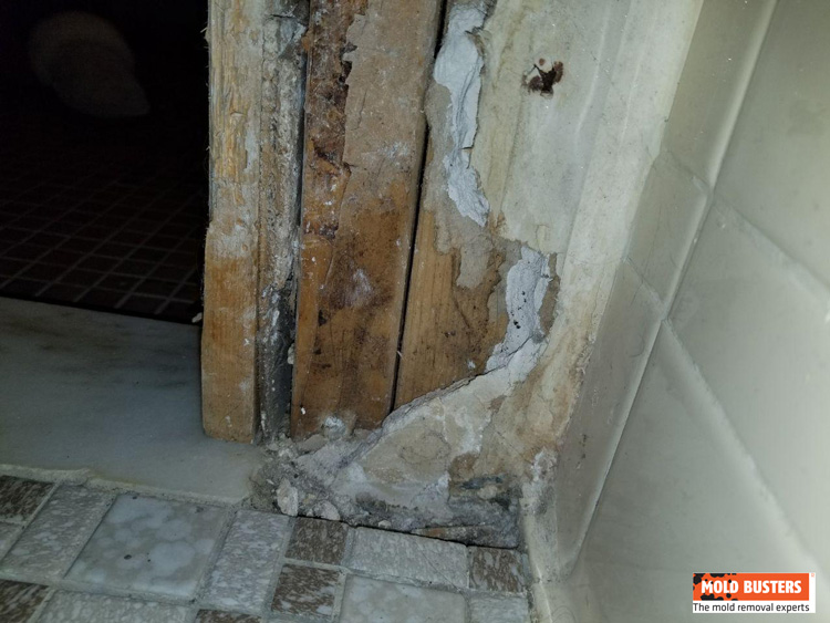 damage caused by mold in bathroom