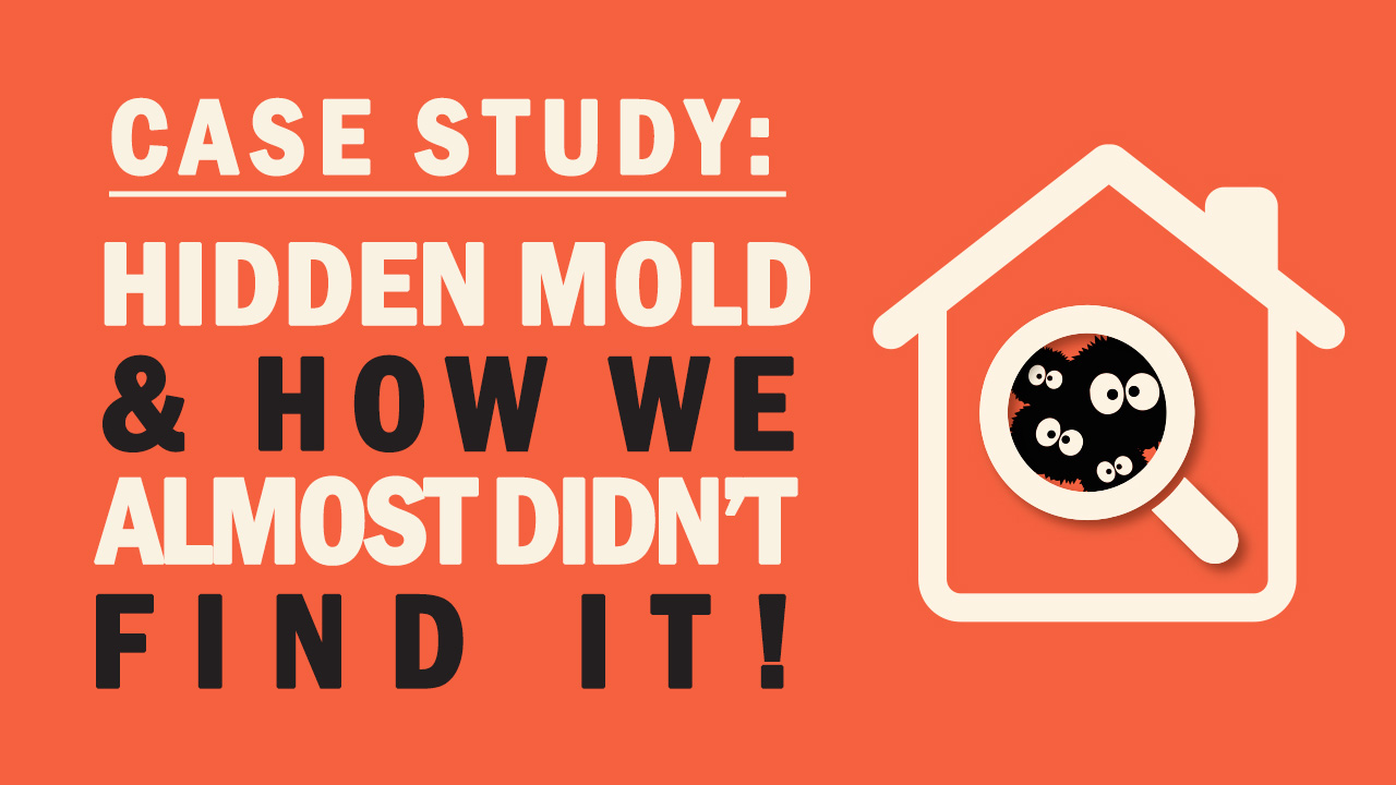 Hidden Mold – How We Almost Didn’t Find It!