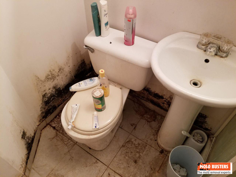 mold in bathroom