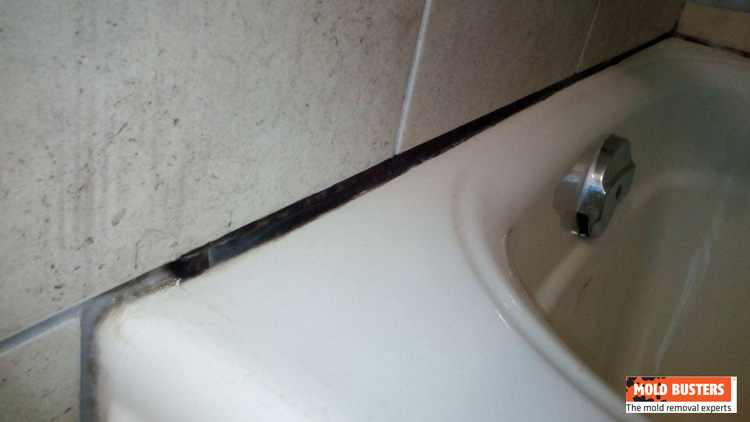 Bathroom Mold Removal Service, Removing Mold Bathtub Caulking From Water Damage