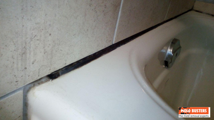 mold on bathroom caulking