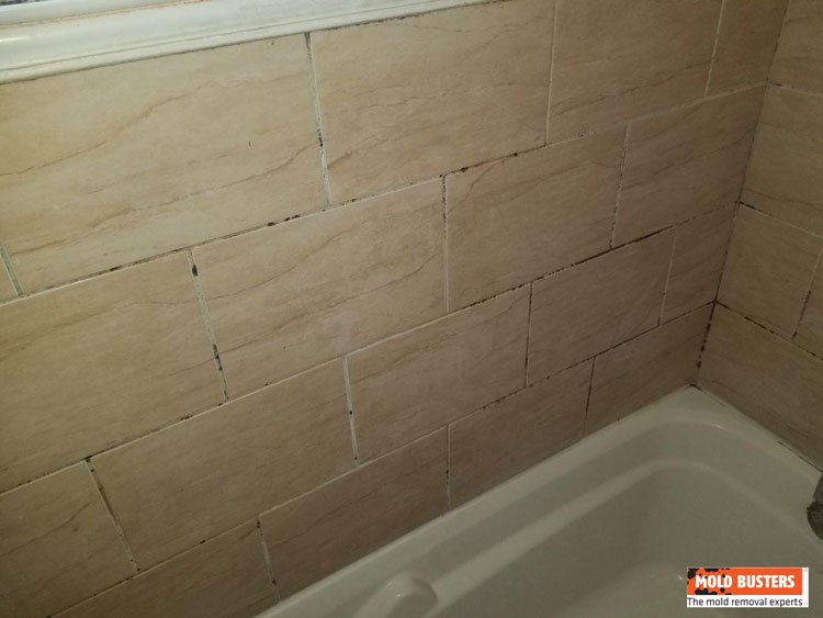 mold on bathroom tiles