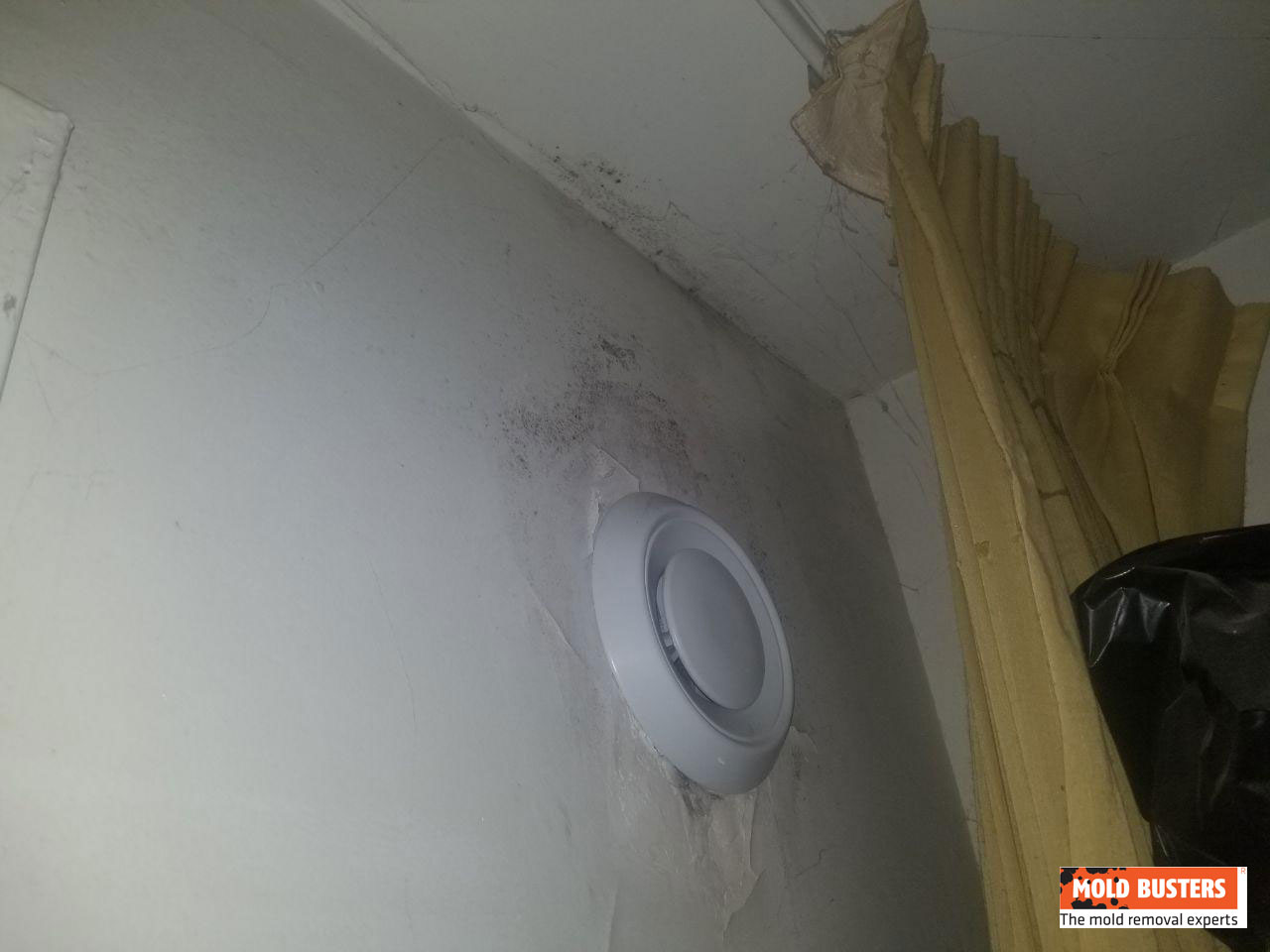 mold on walls and ceilings