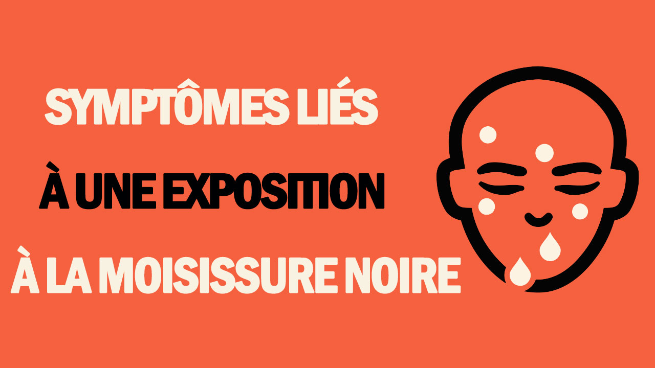 Symptômes liés à une exposition à la moisissure noire