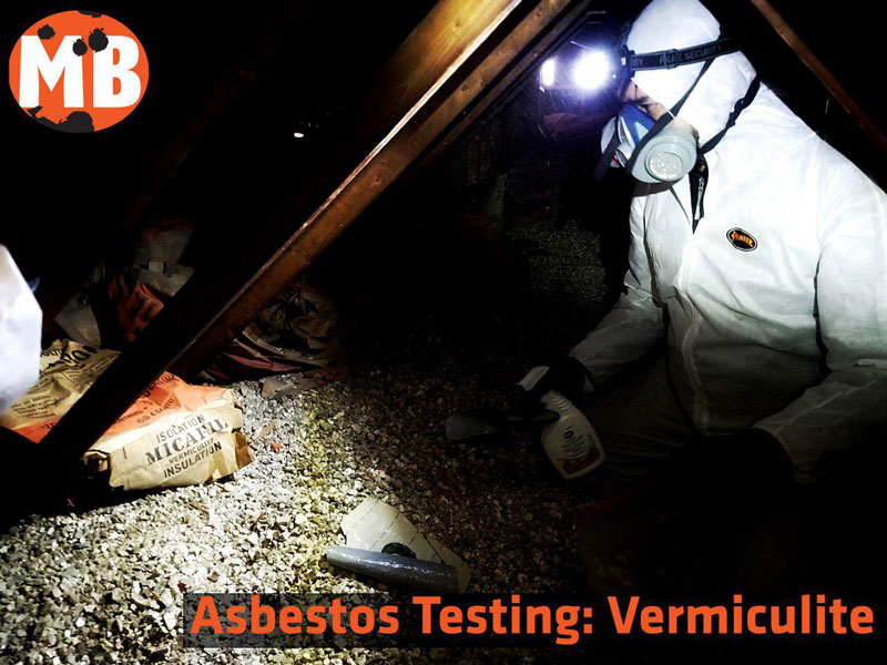 asbestos testing vermiculite