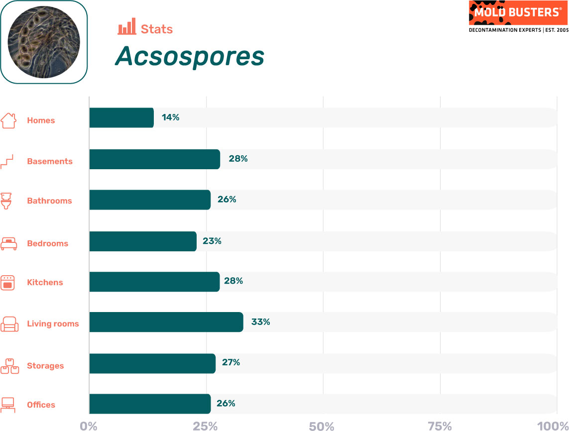 Ascospores statistics