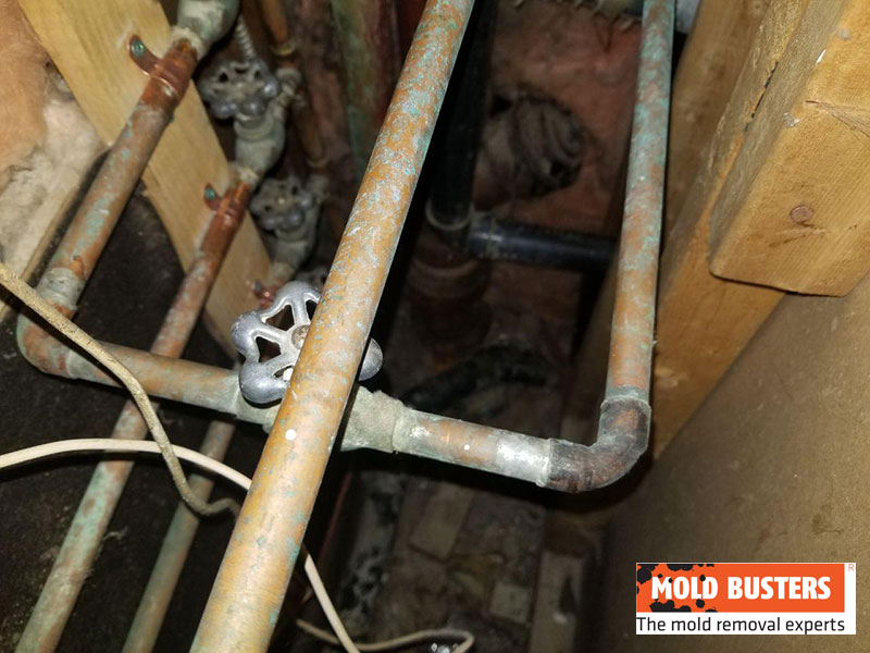 green mold on water pipes