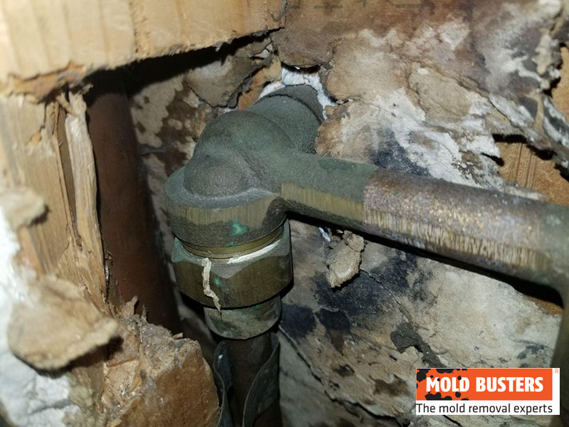 green mold on pipes