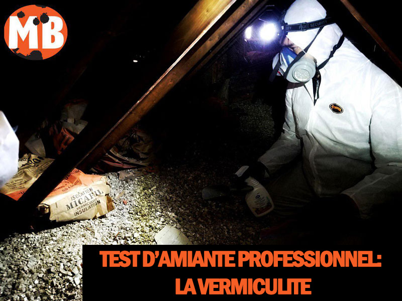 Test d amiante professionnel la vermiculite