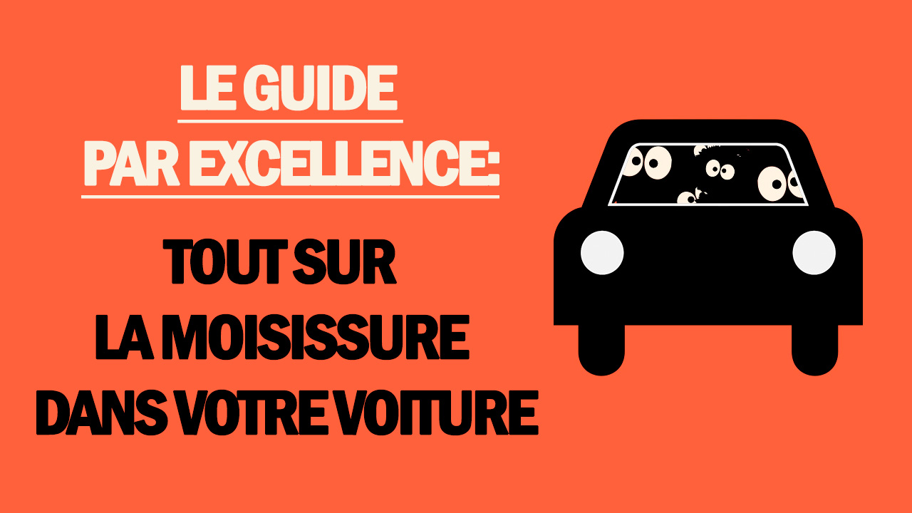 La Moisissure Dans Une Voiture Comment L Eliminer Mold Busters