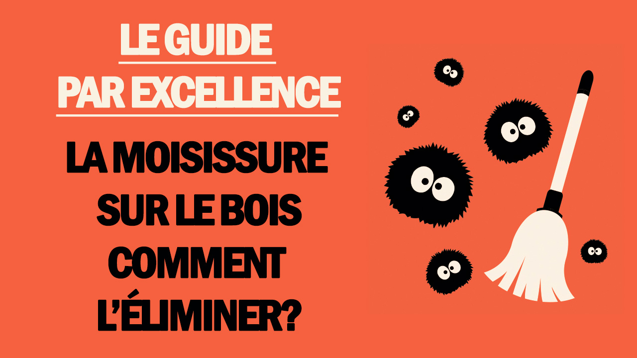 La moisissure sur le bois comment l’éliminer? Mold Busters