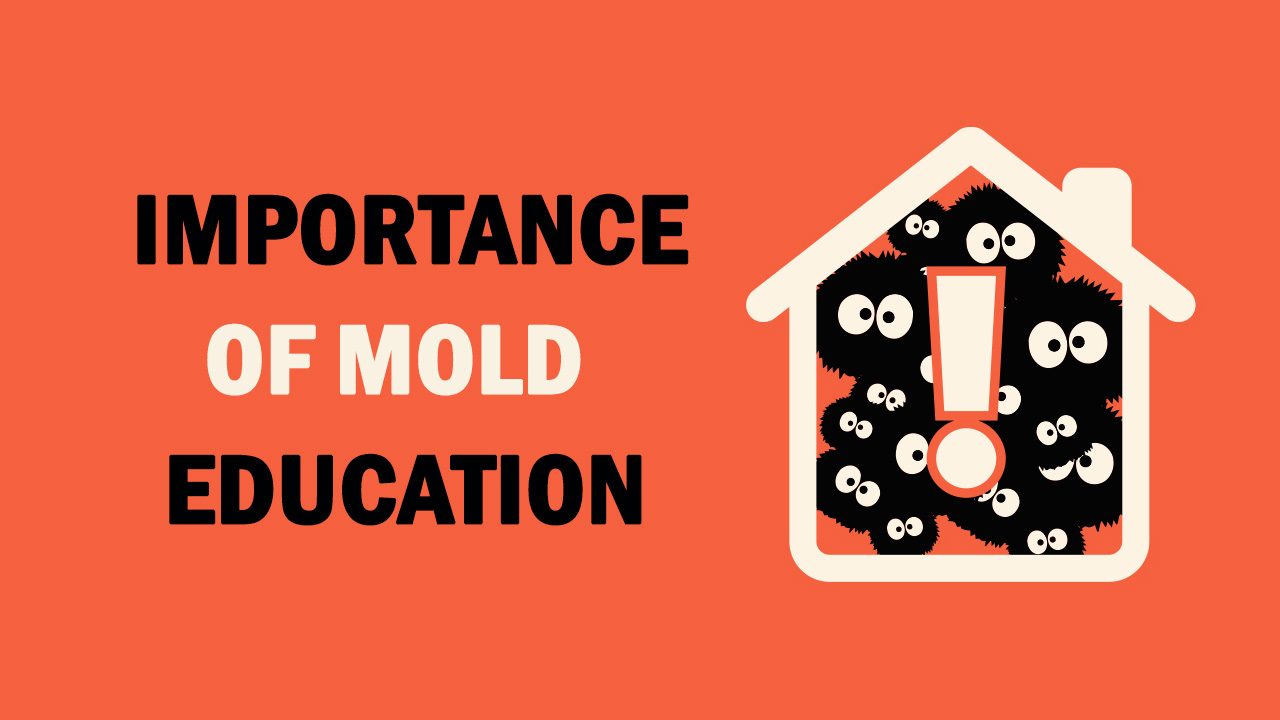Student Essay: Importance of Mold Education
