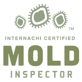 mold inspector