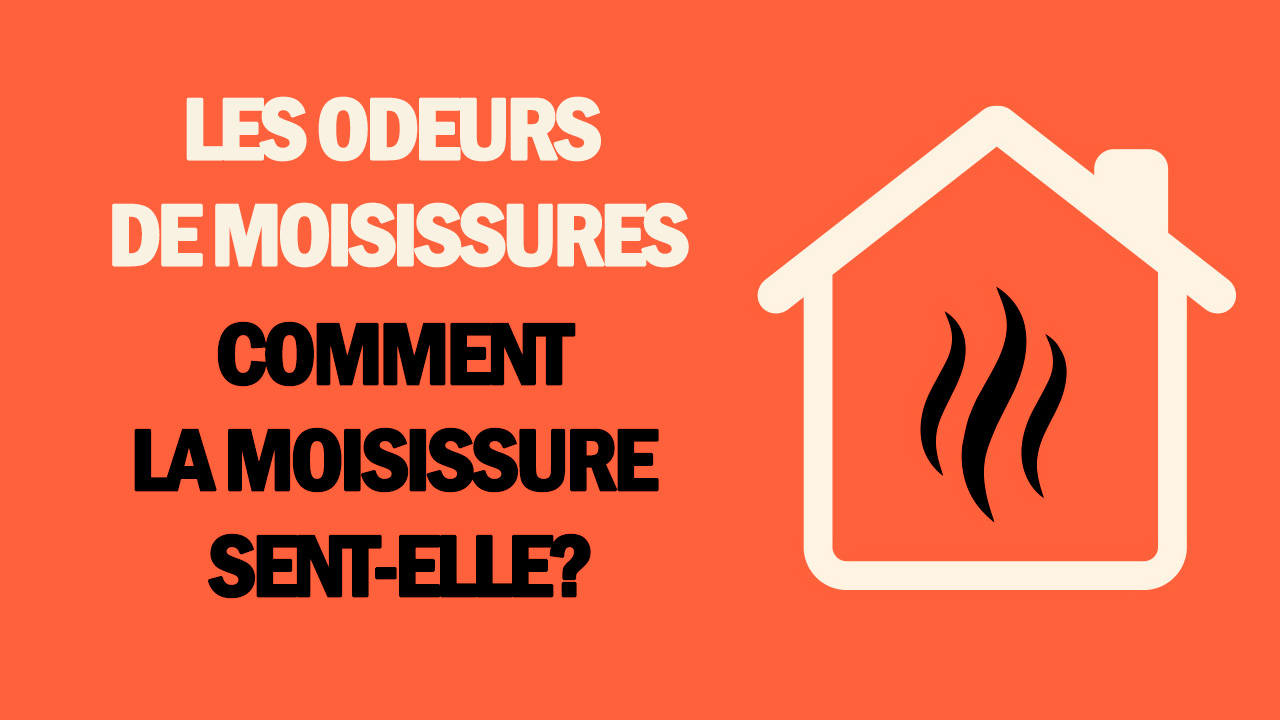 https://www.bustmold.com/wp-content/uploads/2019/05/Les-odeurs-de-moisissures.jpg