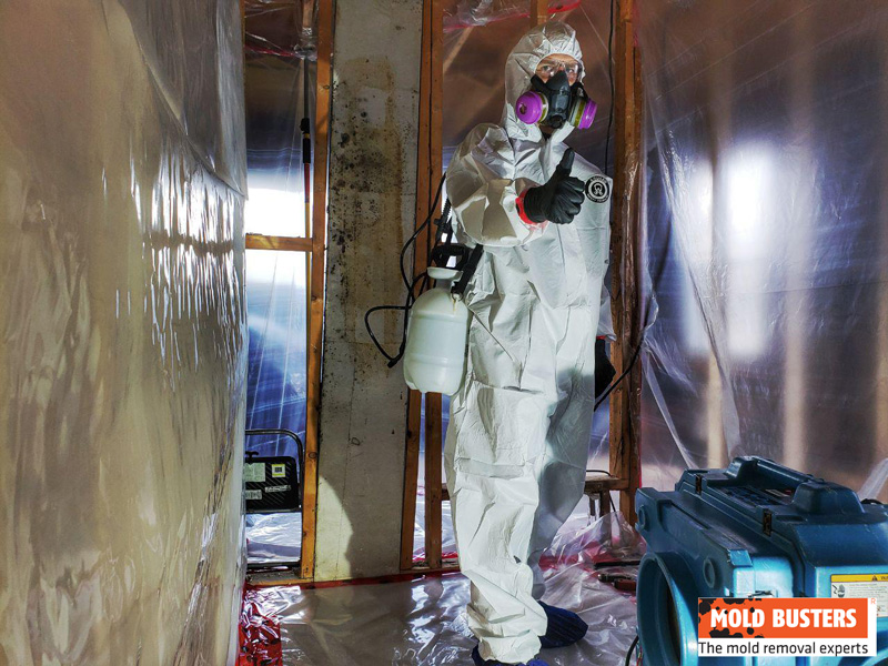Mold Busters l expert de reference en matiere de detection de l amiante
