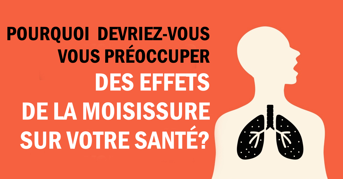 effets moisissure sante